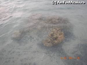 [P11] plaja de la Graumvuossa » foto by Aranka67
 - 
<span class="allrVoted glyphicon glyphicon-heart hidden" id="av661420"></span>
<a class="m-l-10 hidden" id="sv661420" onclick="voting_Foto_DelVot(,661420,19227)" role="button">șterge vot <span class="glyphicon glyphicon-remove"></span></a>
<a id="v9661420" class=" c-red"  onclick="voting_Foto_SetVot(661420)" role="button"><span class="glyphicon glyphicon-heart-empty"></span> <b>LIKE</b> = Votează poza</a> <img class="hidden"  id="f661420W9" src="/imagini/loader.gif" border="0" /><span class="AjErrMes hidden" id="e661420ErM"></span>