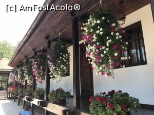 [P01] Templul dorințelor - mister și energie - Schitul Șinca Veche » foto by nicole33
 - 
<span class="allrVoted glyphicon glyphicon-heart hidden" id="av1030504"></span>
<a class="m-l-10 hidden" id="sv1030504" onclick="voting_Foto_DelVot(,1030504,19238)" role="button">șterge vot <span class="glyphicon glyphicon-remove"></span></a>
<a id="v91030504" class=" c-red"  onclick="voting_Foto_SetVot(1030504)" role="button"><span class="glyphicon glyphicon-heart-empty"></span> <b>LIKE</b> = Votează poza</a> <img class="hidden"  id="f1030504W9" src="/imagini/loader.gif" border="0" /><span class="AjErrMes hidden" id="e1030504ErM"></span>