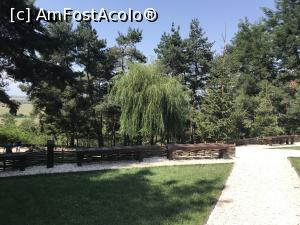 [P11] Templul dorințelor - mister și energie - Schitul Șinca Veche, aleea din faţă » foto by nicole33
 - 
<span class="allrVoted glyphicon glyphicon-heart hidden" id="av1030514"></span>
<a class="m-l-10 hidden" id="sv1030514" onclick="voting_Foto_DelVot(,1030514,19238)" role="button">șterge vot <span class="glyphicon glyphicon-remove"></span></a>
<a id="v91030514" class=" c-red"  onclick="voting_Foto_SetVot(1030514)" role="button"><span class="glyphicon glyphicon-heart-empty"></span> <b>LIKE</b> = Votează poza</a> <img class="hidden"  id="f1030514W9" src="/imagini/loader.gif" border="0" /><span class="AjErrMes hidden" id="e1030514ErM"></span>