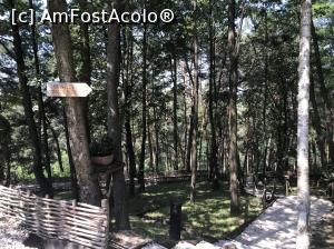 [P29] Templul dorințelor - mister și energie - spre Grotă » foto by nicole33
 - 
<span class="allrVoted glyphicon glyphicon-heart hidden" id="av1030532"></span>
<a class="m-l-10 hidden" id="sv1030532" onclick="voting_Foto_DelVot(,1030532,19238)" role="button">șterge vot <span class="glyphicon glyphicon-remove"></span></a>
<a id="v91030532" class=" c-red"  onclick="voting_Foto_SetVot(1030532)" role="button"><span class="glyphicon glyphicon-heart-empty"></span> <b>LIKE</b> = Votează poza</a> <img class="hidden"  id="f1030532W9" src="/imagini/loader.gif" border="0" /><span class="AjErrMes hidden" id="e1030532ErM"></span>