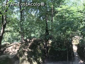 [P35] Templul dorințelor - mister și energie - megaliţii » foto by nicole33
 - 
<span class="allrVoted glyphicon glyphicon-heart hidden" id="av1030538"></span>
<a class="m-l-10 hidden" id="sv1030538" onclick="voting_Foto_DelVot(,1030538,19238)" role="button">șterge vot <span class="glyphicon glyphicon-remove"></span></a>
<a id="v91030538" class=" c-red"  onclick="voting_Foto_SetVot(1030538)" role="button"><span class="glyphicon glyphicon-heart-empty"></span> <b>LIKE</b> = Votează poza</a> <img class="hidden"  id="f1030538W9" src="/imagini/loader.gif" border="0" /><span class="AjErrMes hidden" id="e1030538ErM"></span>