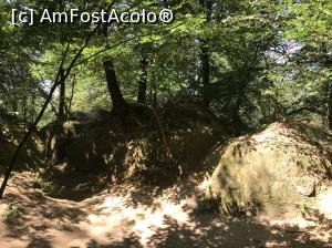 [P37] Templul dorințelor - mister și energie - megaliţii » foto by nicole33
 - 
<span class="allrVoted glyphicon glyphicon-heart hidden" id="av1030540"></span>
<a class="m-l-10 hidden" id="sv1030540" onclick="voting_Foto_DelVot(,1030540,19238)" role="button">șterge vot <span class="glyphicon glyphicon-remove"></span></a>
<a id="v91030540" class=" c-red"  onclick="voting_Foto_SetVot(1030540)" role="button"><span class="glyphicon glyphicon-heart-empty"></span> <b>LIKE</b> = Votează poza</a> <img class="hidden"  id="f1030540W9" src="/imagini/loader.gif" border="0" /><span class="AjErrMes hidden" id="e1030540ErM"></span>