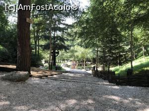 [P57] Templul dorințelor - mister și energie » foto by nicole33
 - 
<span class="allrVoted glyphicon glyphicon-heart hidden" id="av1030560"></span>
<a class="m-l-10 hidden" id="sv1030560" onclick="voting_Foto_DelVot(,1030560,19238)" role="button">șterge vot <span class="glyphicon glyphicon-remove"></span></a>
<a id="v91030560" class=" c-red"  onclick="voting_Foto_SetVot(1030560)" role="button"><span class="glyphicon glyphicon-heart-empty"></span> <b>LIKE</b> = Votează poza</a> <img class="hidden"  id="f1030560W9" src="/imagini/loader.gif" border="0" /><span class="AjErrMes hidden" id="e1030560ErM"></span>