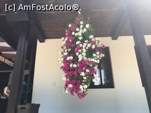 [P09] Templul dorințelor - mister și energie - Schitul Șinca Veche » foto by nicole33
 - 
<span class="allrVoted glyphicon glyphicon-heart hidden" id="av1030512"></span>
<a class="m-l-10 hidden" id="sv1030512" onclick="voting_Foto_DelVot(,1030512,19238)" role="button">șterge vot <span class="glyphicon glyphicon-remove"></span></a>
<a id="v91030512" class=" c-red"  onclick="voting_Foto_SetVot(1030512)" role="button"><span class="glyphicon glyphicon-heart-empty"></span> <b>LIKE</b> = Votează poza</a> <img class="hidden"  id="f1030512W9" src="/imagini/loader.gif" border="0" /><span class="AjErrMes hidden" id="e1030512ErM"></span>