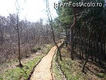 [P34] codrul de argint » foto by ghemonica
 - 
<span class="allrVoted glyphicon glyphicon-heart hidden" id="av238159"></span>
<a class="m-l-10 hidden" id="sv238159" onclick="voting_Foto_DelVot(,238159,19238)" role="button">șterge vot <span class="glyphicon glyphicon-remove"></span></a>
<a id="v9238159" class=" c-red"  onclick="voting_Foto_SetVot(238159)" role="button"><span class="glyphicon glyphicon-heart-empty"></span> <b>LIKE</b> = Votează poza</a> <img class="hidden"  id="f238159W9" src="/imagini/loader.gif" border="0" /><span class="AjErrMes hidden" id="e238159ErM"></span>