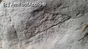 [P12] Templul iniţiatic de la Şinca Veche » foto by STEFAN-CRISTIAN
 - 
<span class="allrVoted glyphicon glyphicon-heart hidden" id="av1196327"></span>
<a class="m-l-10 hidden" id="sv1196327" onclick="voting_Foto_DelVot(,1196327,19238)" role="button">șterge vot <span class="glyphicon glyphicon-remove"></span></a>
<a id="v91196327" class=" c-red"  onclick="voting_Foto_SetVot(1196327)" role="button"><span class="glyphicon glyphicon-heart-empty"></span> <b>LIKE</b> = Votează poza</a> <img class="hidden"  id="f1196327W9" src="/imagini/loader.gif" border="0" /><span class="AjErrMes hidden" id="e1196327ErM"></span>