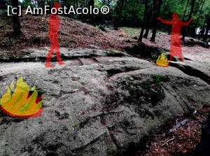 [P02] Templul iniţiatic de la Şinca Veche » foto by STEFAN-CRISTIAN
 - 
<span class="allrVoted glyphicon glyphicon-heart hidden" id="av1196317"></span>
<a class="m-l-10 hidden" id="sv1196317" onclick="voting_Foto_DelVot(,1196317,19238)" role="button">șterge vot <span class="glyphicon glyphicon-remove"></span></a>
<a id="v91196317" class=" c-red"  onclick="voting_Foto_SetVot(1196317)" role="button"><span class="glyphicon glyphicon-heart-empty"></span> <b>LIKE</b> = Votează poza</a> <img class="hidden"  id="f1196317W9" src="/imagini/loader.gif" border="0" /><span class="AjErrMes hidden" id="e1196317ErM"></span>