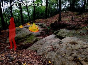 [P04]  -- <small>// FĂRĂ DESCRIERE</small> » foto by STEFAN-CRISTIAN
 - 
<span class="allrVoted glyphicon glyphicon-heart hidden" id="av1196319"></span>
<a class="m-l-10 hidden" id="sv1196319" onclick="voting_Foto_DelVot(,1196319,19238)" role="button">șterge vot <span class="glyphicon glyphicon-remove"></span></a>
<a id="v91196319" class=" c-red"  onclick="voting_Foto_SetVot(1196319)" role="button"><span class="glyphicon glyphicon-heart-empty"></span> <b>LIKE</b> = Votează poza</a> <img class="hidden"  id="f1196319W9" src="/imagini/loader.gif" border="0" /><span class="AjErrMes hidden" id="e1196319ErM"></span>