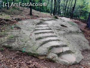 [P05] Templul iniţiatic de la Şinca Veche » foto by STEFAN-CRISTIAN
 - 
<span class="allrVoted glyphicon glyphicon-heart hidden" id="av1196320"></span>
<a class="m-l-10 hidden" id="sv1196320" onclick="voting_Foto_DelVot(,1196320,19238)" role="button">șterge vot <span class="glyphicon glyphicon-remove"></span></a>
<a id="v91196320" class=" c-red"  onclick="voting_Foto_SetVot(1196320)" role="button"><span class="glyphicon glyphicon-heart-empty"></span> <b>LIKE</b> = Votează poza</a> <img class="hidden"  id="f1196320W9" src="/imagini/loader.gif" border="0" /><span class="AjErrMes hidden" id="e1196320ErM"></span>