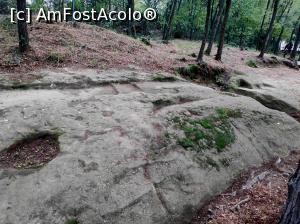 [P06]  -- <small>// FĂRĂ DESCRIERE</small> » foto by STEFAN-CRISTIAN
 - 
<span class="allrVoted glyphicon glyphicon-heart hidden" id="av1196321"></span>
<a class="m-l-10 hidden" id="sv1196321" onclick="voting_Foto_DelVot(,1196321,19238)" role="button">șterge vot <span class="glyphicon glyphicon-remove"></span></a>
<a id="v91196321" class=" c-red"  onclick="voting_Foto_SetVot(1196321)" role="button"><span class="glyphicon glyphicon-heart-empty"></span> <b>LIKE</b> = Votează poza</a> <img class="hidden"  id="f1196321W9" src="/imagini/loader.gif" border="0" /><span class="AjErrMes hidden" id="e1196321ErM"></span>