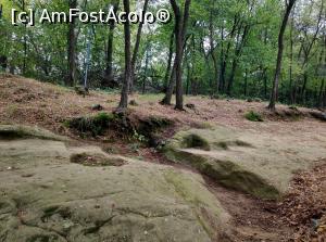 [P07] Templul iniţiatic de la Şinca Veche » foto by STEFAN-CRISTIAN
 - 
<span class="allrVoted glyphicon glyphicon-heart hidden" id="av1196322"></span>
<a class="m-l-10 hidden" id="sv1196322" onclick="voting_Foto_DelVot(,1196322,19238)" role="button">șterge vot <span class="glyphicon glyphicon-remove"></span></a>
<a id="v91196322" class=" c-red"  onclick="voting_Foto_SetVot(1196322)" role="button"><span class="glyphicon glyphicon-heart-empty"></span> <b>LIKE</b> = Votează poza</a> <img class="hidden"  id="f1196322W9" src="/imagini/loader.gif" border="0" /><span class="AjErrMes hidden" id="e1196322ErM"></span>