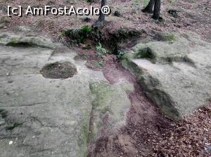 [P08] Templul iniţiatic de la Şinca Veche » foto by STEFAN-CRISTIAN
 - 
<span class="allrVoted glyphicon glyphicon-heart hidden" id="av1196323"></span>
<a class="m-l-10 hidden" id="sv1196323" onclick="voting_Foto_DelVot(,1196323,19238)" role="button">șterge vot <span class="glyphicon glyphicon-remove"></span></a>
<a id="v91196323" class=" c-red"  onclick="voting_Foto_SetVot(1196323)" role="button"><span class="glyphicon glyphicon-heart-empty"></span> <b>LIKE</b> = Votează poza</a> <img class="hidden"  id="f1196323W9" src="/imagini/loader.gif" border="0" /><span class="AjErrMes hidden" id="e1196323ErM"></span>