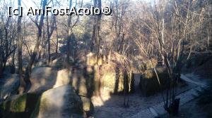 [P10] In drum, apare o ciudata padure de piatra, sa fie loc de pornire spre lumea lui Zamolxes? » foto by dorgo
 - 
<span class="allrVoted glyphicon glyphicon-heart hidden" id="av1048699"></span>
<a class="m-l-10 hidden" id="sv1048699" onclick="voting_Foto_DelVot(,1048699,19238)" role="button">șterge vot <span class="glyphicon glyphicon-remove"></span></a>
<a id="v91048699" class=" c-red"  onclick="voting_Foto_SetVot(1048699)" role="button"><span class="glyphicon glyphicon-heart-empty"></span> <b>LIKE</b> = Votează poza</a> <img class="hidden"  id="f1048699W9" src="/imagini/loader.gif" border="0" /><span class="AjErrMes hidden" id="e1048699ErM"></span>