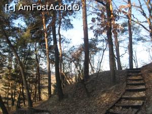 [P19] Un drum care nu duce nicaieri » foto by dorgo
 - 
<span class="allrVoted glyphicon glyphicon-heart hidden" id="av1048708"></span>
<a class="m-l-10 hidden" id="sv1048708" onclick="voting_Foto_DelVot(,1048708,19238)" role="button">șterge vot <span class="glyphicon glyphicon-remove"></span></a>
<a id="v91048708" class=" c-red"  onclick="voting_Foto_SetVot(1048708)" role="button"><span class="glyphicon glyphicon-heart-empty"></span> <b>LIKE</b> = Votează poza</a> <img class="hidden"  id="f1048708W9" src="/imagini/loader.gif" border="0" /><span class="AjErrMes hidden" id="e1048708ErM"></span>