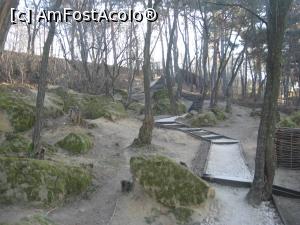 [P09] Prin padure si pe langa stanci, spre schit » foto by dorgo
 - 
<span class="allrVoted glyphicon glyphicon-heart hidden" id="av1048698"></span>
<a class="m-l-10 hidden" id="sv1048698" onclick="voting_Foto_DelVot(,1048698,19238)" role="button">șterge vot <span class="glyphicon glyphicon-remove"></span></a>
<a id="v91048698" class=" c-red"  onclick="voting_Foto_SetVot(1048698)" role="button"><span class="glyphicon glyphicon-heart-empty"></span> <b>LIKE</b> = Votează poza</a> <img class="hidden"  id="f1048698W9" src="/imagini/loader.gif" border="0" /><span class="AjErrMes hidden" id="e1048698ErM"></span>