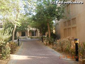 [P03] Alee intre vile.  » foto by rora
 - 
<span class="allrVoted glyphicon glyphicon-heart hidden" id="av665920"></span>
<a class="m-l-10 hidden" id="sv665920" onclick="voting_Foto_DelVot(,665920,19293)" role="button">șterge vot <span class="glyphicon glyphicon-remove"></span></a>
<a id="v9665920" class=" c-red"  onclick="voting_Foto_SetVot(665920)" role="button"><span class="glyphicon glyphicon-heart-empty"></span> <b>LIKE</b> = Votează poza</a> <img class="hidden"  id="f665920W9" src="/imagini/loader.gif" border="0" /><span class="AjErrMes hidden" id="e665920ErM"></span>