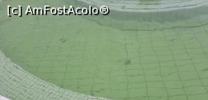 [P06] bazin termal » foto by dany1969
 - 
<span class="allrVoted glyphicon glyphicon-heart hidden" id="av1179754"></span>
<a class="m-l-10 hidden" id="sv1179754" onclick="voting_Foto_DelVot(,1179754,19310)" role="button">șterge vot <span class="glyphicon glyphicon-remove"></span></a>
<a id="v91179754" class=" c-red"  onclick="voting_Foto_SetVot(1179754)" role="button"><span class="glyphicon glyphicon-heart-empty"></span> <b>LIKE</b> = Votează poza</a> <img class="hidden"  id="f1179754W9" src="/imagini/loader.gif" border="0" /><span class="AjErrMes hidden" id="e1179754ErM"></span>