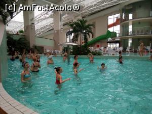 [P03]  -- <small>// FĂRĂ DESCRIERE</small> » foto by bmarius
 - 
<span class="allrVoted glyphicon glyphicon-heart hidden" id="av716206"></span>
<a class="m-l-10 hidden" id="sv716206" onclick="voting_Foto_DelVot(,716206,19310)" role="button">șterge vot <span class="glyphicon glyphicon-remove"></span></a>
<a id="v9716206" class=" c-red"  onclick="voting_Foto_SetVot(716206)" role="button"><span class="glyphicon glyphicon-heart-empty"></span> <b>LIKE</b> = Votează poza</a> <img class="hidden"  id="f716206W9" src="/imagini/loader.gif" border="0" /><span class="AjErrMes hidden" id="e716206ErM"></span>