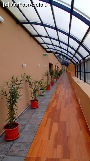 [P19] Lotus Therm Hotel - culoar acces spre Nelumbo & co » foto by Dragoș_MD
 - 
<span class="allrVoted glyphicon glyphicon-heart hidden" id="av1043206"></span>
<a class="m-l-10 hidden" id="sv1043206" onclick="voting_Foto_DelVot(,1043206,19310)" role="button">șterge vot <span class="glyphicon glyphicon-remove"></span></a>
<a id="v91043206" class=" c-red"  onclick="voting_Foto_SetVot(1043206)" role="button"><span class="glyphicon glyphicon-heart-empty"></span> <b>LIKE</b> = Votează poza</a> <img class="hidden"  id="f1043206W9" src="/imagini/loader.gif" border="0" /><span class="AjErrMes hidden" id="e1043206ErM"></span>