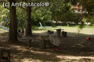 [P01] relaxare prin copaci » foto by Maya_C
 - 
<span class="allrVoted glyphicon glyphicon-heart hidden" id="av1055208"></span>
<a class="m-l-10 hidden" id="sv1055208" onclick="voting_Foto_DelVot(,1055208,19316)" role="button">șterge vot <span class="glyphicon glyphicon-remove"></span></a>
<a id="v91055208" class=" c-red"  onclick="voting_Foto_SetVot(1055208)" role="button"><span class="glyphicon glyphicon-heart-empty"></span> <b>LIKE</b> = Votează poza</a> <img class="hidden"  id="f1055208W9" src="/imagini/loader.gif" border="0" /><span class="AjErrMes hidden" id="e1055208ErM"></span>