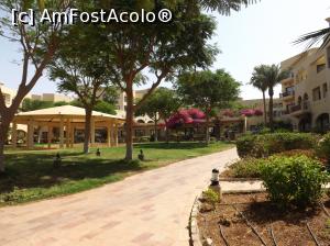 [P09] Radisson Blu Tala Bay - prin resort » foto by nicole33
 - 
<span class="allrVoted glyphicon glyphicon-heart hidden" id="av933469"></span>
<a class="m-l-10 hidden" id="sv933469" onclick="voting_Foto_DelVot(,933469,19353)" role="button">șterge vot <span class="glyphicon glyphicon-remove"></span></a>
<a id="v9933469" class=" c-red"  onclick="voting_Foto_SetVot(933469)" role="button"><span class="glyphicon glyphicon-heart-empty"></span> <b>LIKE</b> = Votează poza</a> <img class="hidden"  id="f933469W9" src="/imagini/loader.gif" border="0" /><span class="AjErrMes hidden" id="e933469ErM"></span>