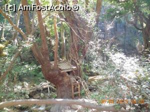 [P09] Drumul prin padure catre cascada Potami » foto by pmanuela
 - 
<span class="allrVoted glyphicon glyphicon-heart hidden" id="av721140"></span>
<a class="m-l-10 hidden" id="sv721140" onclick="voting_Foto_DelVot(,721140,19366)" role="button">șterge vot <span class="glyphicon glyphicon-remove"></span></a>
<a id="v9721140" class=" c-red"  onclick="voting_Foto_SetVot(721140)" role="button"><span class="glyphicon glyphicon-heart-empty"></span> <b>LIKE</b> = Votează poza</a> <img class="hidden"  id="f721140W9" src="/imagini/loader.gif" border="0" /><span class="AjErrMes hidden" id="e721140ErM"></span>