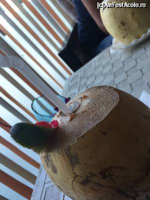 [P20] cockteilul de cocos cu care am fost întâmpinați » foto by robert
 - 
<span class="allrVoted glyphicon glyphicon-heart hidden" id="av673495"></span>
<a class="m-l-10 hidden" id="sv673495" onclick="voting_Foto_DelVot(,673495,19391)" role="button">șterge vot <span class="glyphicon glyphicon-remove"></span></a>
<a id="v9673495" class=" c-red"  onclick="voting_Foto_SetVot(673495)" role="button"><span class="glyphicon glyphicon-heart-empty"></span> <b>LIKE</b> = Votează poza</a> <img class="hidden"  id="f673495W9" src="/imagini/loader.gif" border="0" /><span class="AjErrMes hidden" id="e673495ErM"></span>