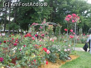 [P19] Kazanlâk - În Valea Trandafirilor. În Rosarium. » foto by iulianic
 - 
<span class="allrVoted glyphicon glyphicon-heart hidden" id="av1368790"></span>
<a class="m-l-10 hidden" id="sv1368790" onclick="voting_Foto_DelVot(,1368790,19408)" role="button">șterge vot <span class="glyphicon glyphicon-remove"></span></a>
<a id="v91368790" class=" c-red"  onclick="voting_Foto_SetVot(1368790)" role="button"><span class="glyphicon glyphicon-heart-empty"></span> <b>LIKE</b> = Votează poza</a> <img class="hidden"  id="f1368790W9" src="/imagini/loader.gif" border="0" /><span class="AjErrMes hidden" id="e1368790ErM"></span>