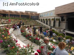 [P06] Damascena - Arena cu trandafiri. » foto by iulianic
 - 
<span class="allrVoted glyphicon glyphicon-heart hidden" id="av1369716"></span>
<a class="m-l-10 hidden" id="sv1369716" onclick="voting_Foto_DelVot(,1369716,19408)" role="button">șterge vot <span class="glyphicon glyphicon-remove"></span></a>
<a id="v91369716" class=" c-red"  onclick="voting_Foto_SetVot(1369716)" role="button"><span class="glyphicon glyphicon-heart-empty"></span> <b>LIKE</b> = Votează poza</a> <img class="hidden"  id="f1369716W9" src="/imagini/loader.gif" border="0" /><span class="AjErrMes hidden" id="e1369716ErM"></span>