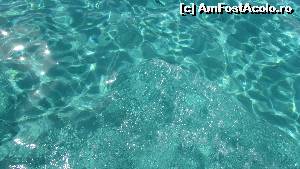 [P11] Turcoazul de vis al Lagunei Albasre » foto by crismis
 - 
<span class="allrVoted glyphicon glyphicon-heart hidden" id="av676021"></span>
<a class="m-l-10 hidden" id="sv676021" onclick="voting_Foto_DelVot(,676021,19428)" role="button">șterge vot <span class="glyphicon glyphicon-remove"></span></a>
<a id="v9676021" class=" c-red"  onclick="voting_Foto_SetVot(676021)" role="button"><span class="glyphicon glyphicon-heart-empty"></span> <b>LIKE</b> = Votează poza</a> <img class="hidden"  id="f676021W9" src="/imagini/loader.gif" border="0" /><span class="AjErrMes hidden" id="e676021ErM"></span>