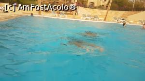 [P16] La piscina cu apa incalzita a hotelului » foto by Sakiz*
 - 
<span class="allrVoted glyphicon glyphicon-heart hidden" id="av1048809"></span>
<a class="m-l-10 hidden" id="sv1048809" onclick="voting_Foto_DelVot(,1048809,19442)" role="button">șterge vot <span class="glyphicon glyphicon-remove"></span></a>
<a id="v91048809" class=" c-red"  onclick="voting_Foto_SetVot(1048809)" role="button"><span class="glyphicon glyphicon-heart-empty"></span> <b>LIKE</b> = Votează poza</a> <img class="hidden"  id="f1048809W9" src="/imagini/loader.gif" border="0" /><span class="AjErrMes hidden" id="e1048809ErM"></span>