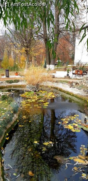 [P12] O oază de linişte si relaxare: lacul cu nuferi si pestisori colorati » foto by gettyy
 - 
<span class="allrVoted glyphicon glyphicon-heart hidden" id="av1165250"></span>
<a class="m-l-10 hidden" id="sv1165250" onclick="voting_Foto_DelVot(,1165250,19447)" role="button">șterge vot <span class="glyphicon glyphicon-remove"></span></a>
<a id="v91165250" class=" c-red"  onclick="voting_Foto_SetVot(1165250)" role="button"><span class="glyphicon glyphicon-heart-empty"></span> <b>LIKE</b> = Votează poza</a> <img class="hidden"  id="f1165250W9" src="/imagini/loader.gif" border="0" /><span class="AjErrMes hidden" id="e1165250ErM"></span>