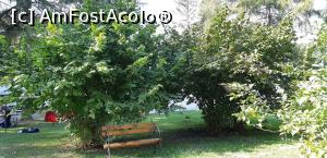 [P36] Un loc răcoros în parcul castelului » foto by gettyy
 - 
<span class="allrVoted glyphicon glyphicon-heart hidden" id="av1165274"></span>
<a class="m-l-10 hidden" id="sv1165274" onclick="voting_Foto_DelVot(,1165274,19447)" role="button">șterge vot <span class="glyphicon glyphicon-remove"></span></a>
<a id="v91165274" class=" c-red"  onclick="voting_Foto_SetVot(1165274)" role="button"><span class="glyphicon glyphicon-heart-empty"></span> <b>LIKE</b> = Votează poza</a> <img class="hidden"  id="f1165274W9" src="/imagini/loader.gif" border="0" /><span class="AjErrMes hidden" id="e1165274ErM"></span>