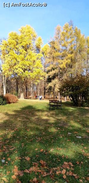 [P04] Parcul dendrologic al castelului » foto by gettyy
 - 
<span class="allrVoted glyphicon glyphicon-heart hidden" id="av1165241"></span>
<a class="m-l-10 hidden" id="sv1165241" onclick="voting_Foto_DelVot(,1165241,19447)" role="button">șterge vot <span class="glyphicon glyphicon-remove"></span></a>
<a id="v91165241" class=" c-red"  onclick="voting_Foto_SetVot(1165241)" role="button"><span class="glyphicon glyphicon-heart-empty"></span> <b>LIKE</b> = Votează poza</a> <img class="hidden"  id="f1165241W9" src="/imagini/loader.gif" border="0" /><span class="AjErrMes hidden" id="e1165241ErM"></span>