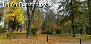 [P06] Loc de relaxare lângă arborele ginkgo biloba » foto by gettyy
 - 
<span class="allrVoted glyphicon glyphicon-heart hidden" id="av1165243"></span>
<a class="m-l-10 hidden" id="sv1165243" onclick="voting_Foto_DelVot(,1165243,19447)" role="button">șterge vot <span class="glyphicon glyphicon-remove"></span></a>
<a id="v91165243" class=" c-red"  onclick="voting_Foto_SetVot(1165243)" role="button"><span class="glyphicon glyphicon-heart-empty"></span> <b>LIKE</b> = Votează poza</a> <img class="hidden"  id="f1165243W9" src="/imagini/loader.gif" border="0" /><span class="AjErrMes hidden" id="e1165243ErM"></span>
