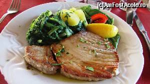 [P26] Tuna steak » foto by crismis
 - 
<span class="allrVoted glyphicon glyphicon-heart hidden" id="av678016"></span>
<a class="m-l-10 hidden" id="sv678016" onclick="voting_Foto_DelVot(,678016,19459)" role="button">șterge vot <span class="glyphicon glyphicon-remove"></span></a>
<a id="v9678016" class=" c-red"  onclick="voting_Foto_SetVot(678016)" role="button"><span class="glyphicon glyphicon-heart-empty"></span> <b>LIKE</b> = Votează poza</a> <img class="hidden"  id="f678016W9" src="/imagini/loader.gif" border="0" /><span class="AjErrMes hidden" id="e678016ErM"></span>