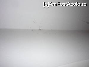 [P11] paianjeni peste tot » foto by catana*
 - 
<span class="allrVoted glyphicon glyphicon-heart hidden" id="av679244"></span>
<a class="m-l-10 hidden" id="sv679244" onclick="voting_Foto_DelVot(,679244,19467)" role="button">șterge vot <span class="glyphicon glyphicon-remove"></span></a>
<a id="v9679244" class=" c-red"  onclick="voting_Foto_SetVot(679244)" role="button"><span class="glyphicon glyphicon-heart-empty"></span> <b>LIKE</b> = Votează poza</a> <img class="hidden"  id="f679244W9" src="/imagini/loader.gif" border="0" /><span class="AjErrMes hidden" id="e679244ErM"></span>