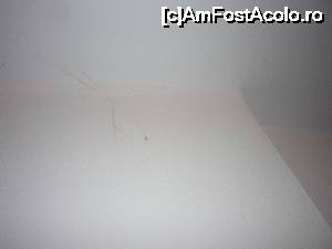 [P12] paianjeni in tavan » foto by catana*
 - 
<span class="allrVoted glyphicon glyphicon-heart hidden" id="av679245"></span>
<a class="m-l-10 hidden" id="sv679245" onclick="voting_Foto_DelVot(,679245,19467)" role="button">șterge vot <span class="glyphicon glyphicon-remove"></span></a>
<a id="v9679245" class=" c-red"  onclick="voting_Foto_SetVot(679245)" role="button"><span class="glyphicon glyphicon-heart-empty"></span> <b>LIKE</b> = Votează poza</a> <img class="hidden"  id="f679245W9" src="/imagini/loader.gif" border="0" /><span class="AjErrMes hidden" id="e679245ErM"></span>
