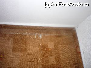 [P21] no comment » foto by catana*
 - 
<span class="allrVoted glyphicon glyphicon-heart hidden" id="av679254"></span>
<a class="m-l-10 hidden" id="sv679254" onclick="voting_Foto_DelVot(,679254,19467)" role="button">șterge vot <span class="glyphicon glyphicon-remove"></span></a>
<a id="v9679254" class=" c-red"  onclick="voting_Foto_SetVot(679254)" role="button"><span class="glyphicon glyphicon-heart-empty"></span> <b>LIKE</b> = Votează poza</a> <img class="hidden"  id="f679254W9" src="/imagini/loader.gif" border="0" /><span class="AjErrMes hidden" id="e679254ErM"></span>