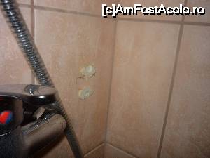 [P08] in baie nu erau suporti pt accesorii » foto by catana*
 - 
<span class="allrVoted glyphicon glyphicon-heart hidden" id="av679241"></span>
<a class="m-l-10 hidden" id="sv679241" onclick="voting_Foto_DelVot(,679241,19467)" role="button">șterge vot <span class="glyphicon glyphicon-remove"></span></a>
<a id="v9679241" class=" c-red"  onclick="voting_Foto_SetVot(679241)" role="button"><span class="glyphicon glyphicon-heart-empty"></span> <b>LIKE</b> = Votează poza</a> <img class="hidden"  id="f679241W9" src="/imagini/loader.gif" border="0" /><span class="AjErrMes hidden" id="e679241ErM"></span>