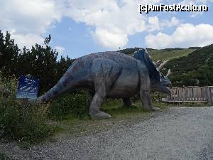 [P209] Steinplatte Waidrimg: Trassic Parc în zona Triassic trail » foto by mariana.olaru
 - 
<span class="allrVoted glyphicon glyphicon-heart hidden" id="av681150"></span>
<a class="m-l-10 hidden" id="sv681150" onclick="voting_Foto_DelVot(,681150,19484)" role="button">șterge vot <span class="glyphicon glyphicon-remove"></span></a>
<a id="v9681150" class=" c-red"  onclick="voting_Foto_SetVot(681150)" role="button"><span class="glyphicon glyphicon-heart-empty"></span> <b>LIKE</b> = Votează poza</a> <img class="hidden"  id="f681150W9" src="/imagini/loader.gif" border="0" /><span class="AjErrMes hidden" id="e681150ErM"></span>