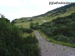 [P210] Steinplatte Waidrimg: Trassic Parc în zona Triassic trail, aleea spre zona saurienilor » foto by mariana.olaru
 - 
<span class="allrVoted glyphicon glyphicon-heart hidden" id="av681152"></span>
<a class="m-l-10 hidden" id="sv681152" onclick="voting_Foto_DelVot(,681152,19484)" role="button">șterge vot <span class="glyphicon glyphicon-remove"></span></a>
<a id="v9681152" class=" c-red"  onclick="voting_Foto_SetVot(681152)" role="button"><span class="glyphicon glyphicon-heart-empty"></span> <b>LIKE</b> = Votează poza</a> <img class="hidden"  id="f681152W9" src="/imagini/loader.gif" border="0" /><span class="AjErrMes hidden" id="e681152ErM"></span>