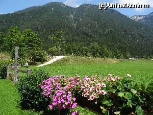 [P28] Austria, Waidring:imagine din curtea Pensiunii Foidl » foto by mariana.olaru
 - 
<span class="allrVoted glyphicon glyphicon-heart hidden" id="av680910"></span>
<a class="m-l-10 hidden" id="sv680910" onclick="voting_Foto_DelVot(,680910,19484)" role="button">șterge vot <span class="glyphicon glyphicon-remove"></span></a>
<a id="v9680910" class=" c-red"  onclick="voting_Foto_SetVot(680910)" role="button"><span class="glyphicon glyphicon-heart-empty"></span> <b>LIKE</b> = Votează poza</a> <img class="hidden"  id="f680910W9" src="/imagini/loader.gif" border="0" /><span class="AjErrMes hidden" id="e680910ErM"></span>