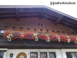 [P84] Austria, Waidring : din colecția de vile a localității » foto by mariana.olaru
 - 
<span class="allrVoted glyphicon glyphicon-heart hidden" id="av680982"></span>
<a class="m-l-10 hidden" id="sv680982" onclick="voting_Foto_DelVot(,680982,19484)" role="button">șterge vot <span class="glyphicon glyphicon-remove"></span></a>
<a id="v9680982" class=" c-red"  onclick="voting_Foto_SetVot(680982)" role="button"><span class="glyphicon glyphicon-heart-empty"></span> <b>LIKE</b> = Votează poza</a> <img class="hidden"  id="f680982W9" src="/imagini/loader.gif" border="0" /><span class="AjErrMes hidden" id="e680982ErM"></span>