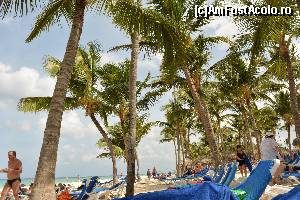 [P02] Sezlonguri pentru toata lumea pe plaja de la Grand Bahia Principe » foto by iriss
 - 
<span class="allrVoted glyphicon glyphicon-heart hidden" id="av682577"></span>
<a class="m-l-10 hidden" id="sv682577" onclick="voting_Foto_DelVot(,682577,19514)" role="button">șterge vot <span class="glyphicon glyphicon-remove"></span></a>
<a id="v9682577" class=" c-red"  onclick="voting_Foto_SetVot(682577)" role="button"><span class="glyphicon glyphicon-heart-empty"></span> <b>LIKE</b> = Votează poza</a> <img class="hidden"  id="f682577W9" src="/imagini/loader.gif" border="0" /><span class="AjErrMes hidden" id="e682577ErM"></span>