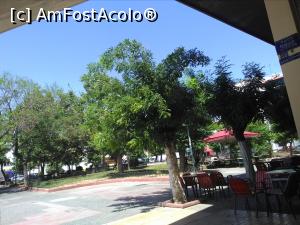 [P07] Părculețul din fața cafenelei din Piața Attikis » foto by Carmen Ion
 - 
<span class="allrVoted glyphicon glyphicon-heart hidden" id="av1071716"></span>
<a class="m-l-10 hidden" id="sv1071716" onclick="voting_Foto_DelVot(,1071716,19516)" role="button">șterge vot <span class="glyphicon glyphicon-remove"></span></a>
<a id="v91071716" class=" c-red"  onclick="voting_Foto_SetVot(1071716)" role="button"><span class="glyphicon glyphicon-heart-empty"></span> <b>LIKE</b> = Votează poza</a> <img class="hidden"  id="f1071716W9" src="/imagini/loader.gif" border="0" /><span class="AjErrMes hidden" id="e1071716ErM"></span>