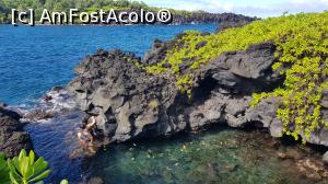 [P29] Parcul natural Waianapanapana » foto by C@t@
 - 
<span class="allrVoted glyphicon glyphicon-heart hidden" id="av1009475"></span>
<a class="m-l-10 hidden" id="sv1009475" onclick="voting_Foto_DelVot(,1009475,19555)" role="button">șterge vot <span class="glyphicon glyphicon-remove"></span></a>
<a id="v91009475" class=" c-red"  onclick="voting_Foto_SetVot(1009475)" role="button"><span class="glyphicon glyphicon-heart-empty"></span> <b>LIKE</b> = Votează poza</a> <img class="hidden"  id="f1009475W9" src="/imagini/loader.gif" border="0" /><span class="AjErrMes hidden" id="e1009475ErM"></span>