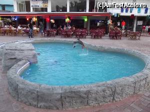 [P04] Terasă din apropierea lui Atlantik Apart Hotel din Altınkum » foto by irinad
 - 
<span class="allrVoted glyphicon glyphicon-heart hidden" id="av688928"></span>
<a class="m-l-10 hidden" id="sv688928" onclick="voting_Foto_DelVot(,688928,19603)" role="button">șterge vot <span class="glyphicon glyphicon-remove"></span></a>
<a id="v9688928" class=" c-red"  onclick="voting_Foto_SetVot(688928)" role="button"><span class="glyphicon glyphicon-heart-empty"></span> <b>LIKE</b> = Votează poza</a> <img class="hidden"  id="f688928W9" src="/imagini/loader.gif" border="0" /><span class="AjErrMes hidden" id="e688928ErM"></span>