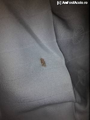 [P09] Fata de perna - nu as dori sa descriu » foto by IoanaLaura
 - 
<span class="allrVoted glyphicon glyphicon-heart hidden" id="av689612"></span>
<a class="m-l-10 hidden" id="sv689612" onclick="voting_Foto_DelVot(,689612,19612)" role="button">șterge vot <span class="glyphicon glyphicon-remove"></span></a>
<a id="v9689612" class=" c-red"  onclick="voting_Foto_SetVot(689612)" role="button"><span class="glyphicon glyphicon-heart-empty"></span> <b>LIKE</b> = Votează poza</a> <img class="hidden"  id="f689612W9" src="/imagini/loader.gif" border="0" /><span class="AjErrMes hidden" id="e689612ErM"></span>