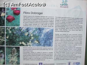 [P10] Pentru fiecare sector nou există afișate astfel de informații.  » foto by Floryn81
 - 
<span class="allrVoted glyphicon glyphicon-heart hidden" id="av832398"></span>
<a class="m-l-10 hidden" id="sv832398" onclick="voting_Foto_DelVot(,832398,19622)" role="button">șterge vot <span class="glyphicon glyphicon-remove"></span></a>
<a id="v9832398" class=" c-red"  onclick="voting_Foto_SetVot(832398)" role="button"><span class="glyphicon glyphicon-heart-empty"></span> <b>LIKE</b> = Votează poza</a> <img class="hidden"  id="f832398W9" src="/imagini/loader.gif" border="0" /><span class="AjErrMes hidden" id="e832398ErM"></span>